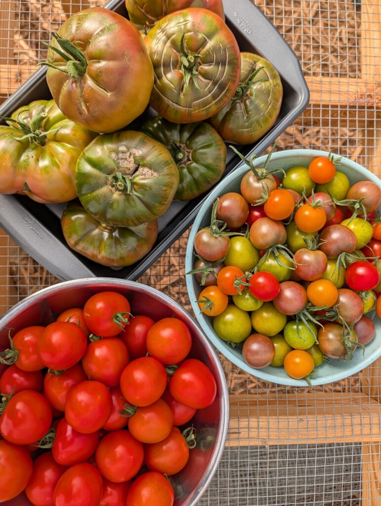 PXL_20251001_143402381