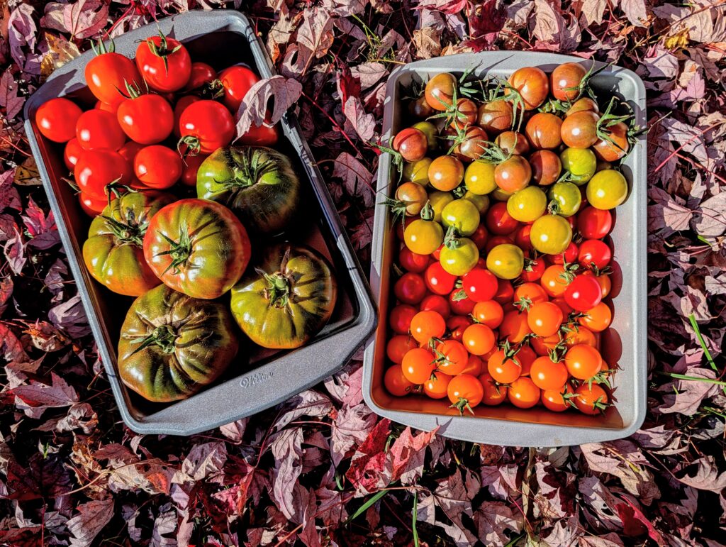 PXL_20251023_200506946~2