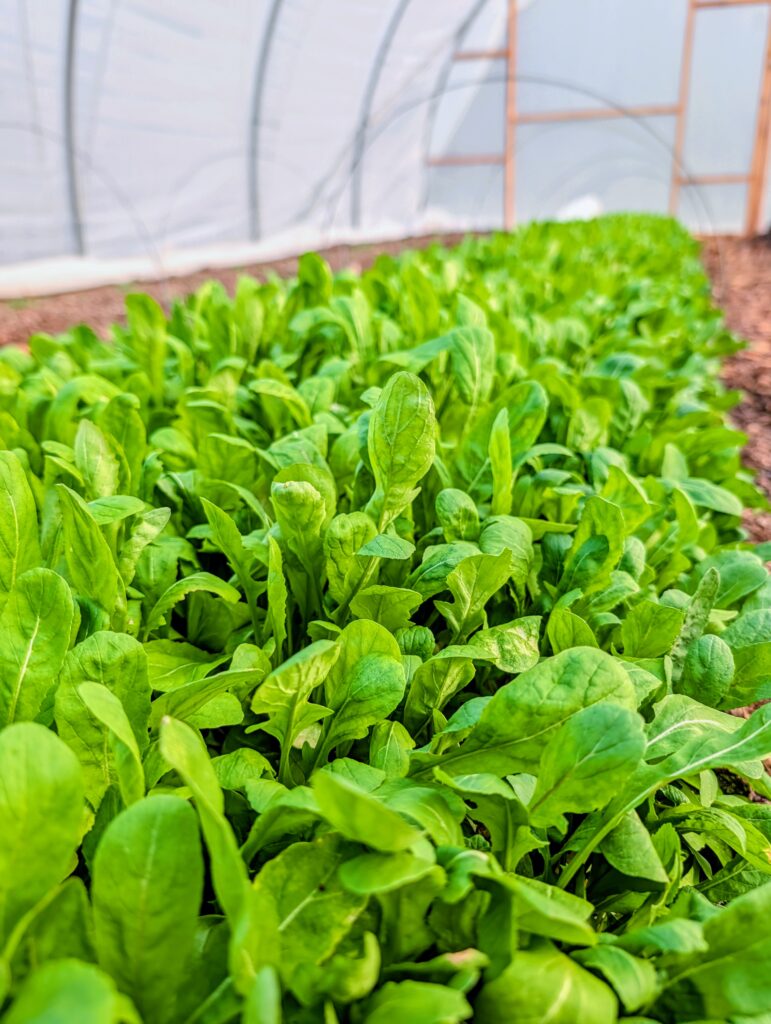 PXL_20260103_220418379~2