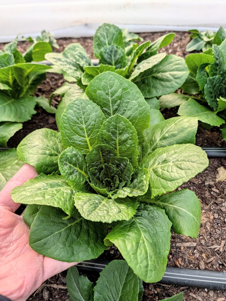 PXL_20260103_220434072~2